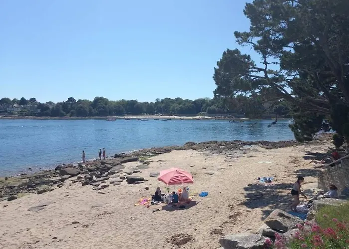 Studio A 100M De La Plage